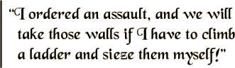 I ordered an assault, and we will take those walls if I have to climb a ladder and sieze them myself!