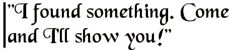 I found something. Come and I'll show you!